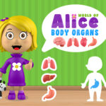 World of Alice   Body Organs